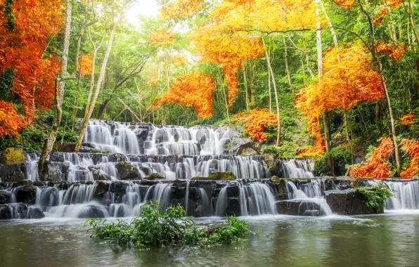 Картинка лес, пейзаж, река, скалы, водопад, summer, forest, river