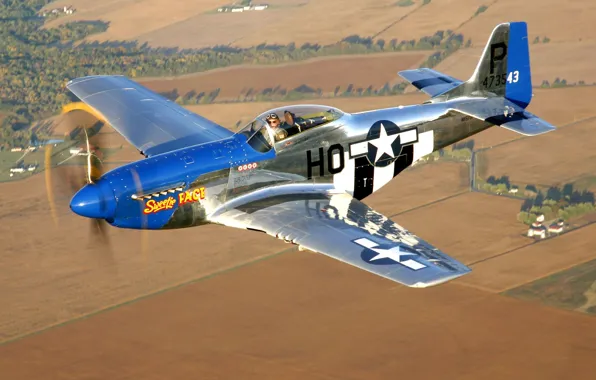 Картинка самолет, Mustang, истребитель, США, аэрография, club, military, действия