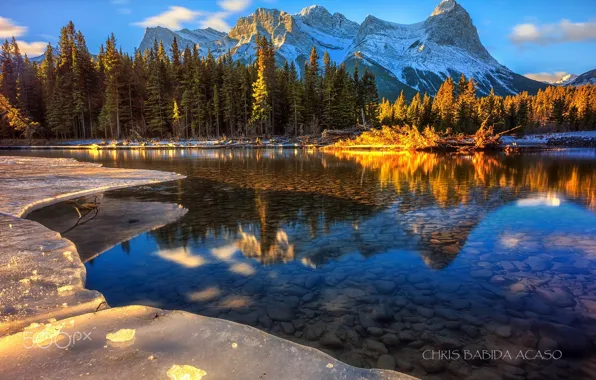 Лес, вода, свет, горы, природа, лёд