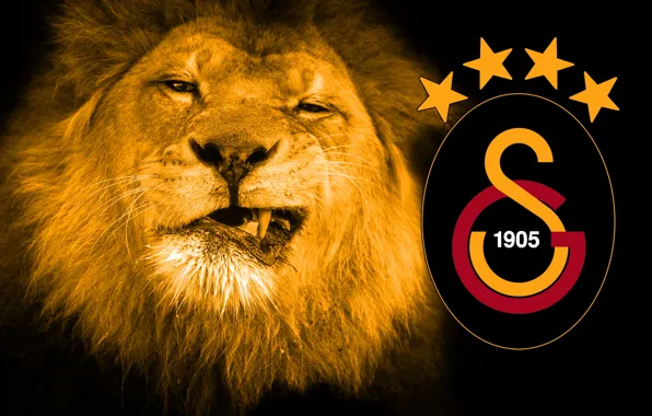 Wallpaper, sport, logo, lion, football, Galatasaray