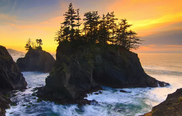 Деревья, океан, скалы, рассвет, Oregon, USА, Carpenterville