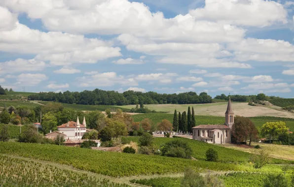 Картинка Франция, поля, дома, Gaillac