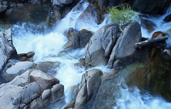 Вода, природа, река, камни, дерево, скалы, течение, водопад