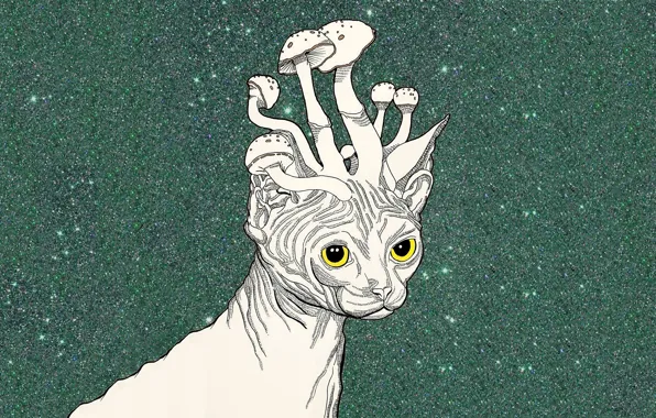 Картинка кот, грибы, арт, сфинкс, psychedelic