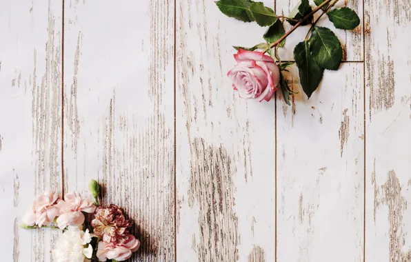 Роза, flower, wood, декор, roses, гвоздики