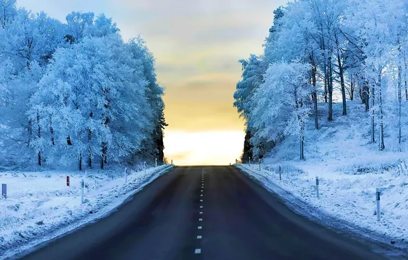 Картинка зима, лес, снег, road, trees, snow, дорога. winter