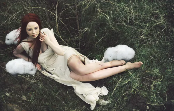 Картинка девушка, фон, кролики