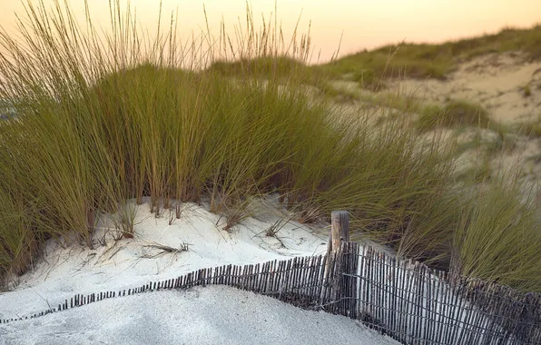 Картинка трава, природа, дюны
