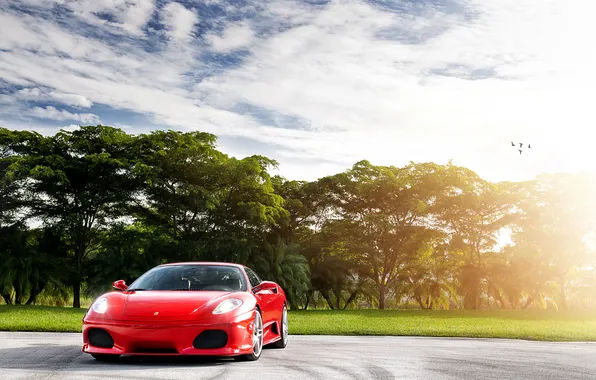Небо, солнце, облака, деревья, F430, Ferrari, red, феррари