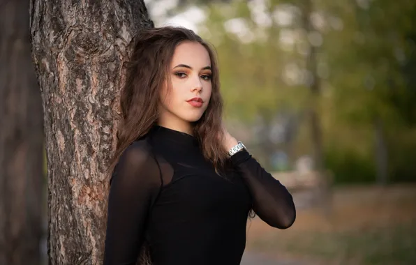 Картинка взгляд, девушка, деревья, природа, красотка, боке