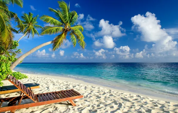 Картинка море, пляж, тропики, пальмы, отдых