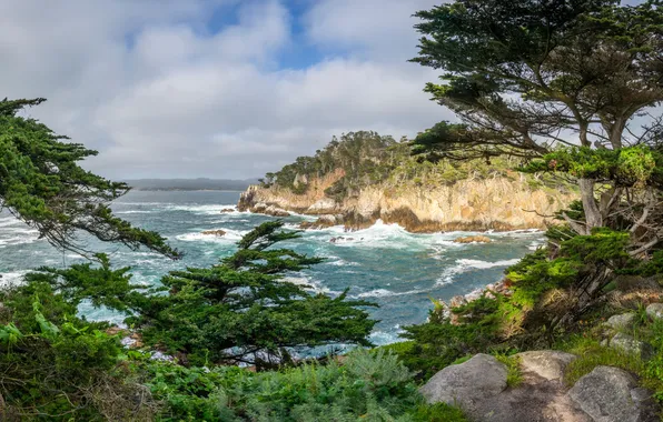 Картинка скала, Калифорния, панорама, США, Trail Point Lobos