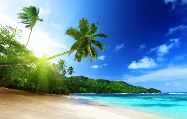 Картинка песок, море, солнце, лучи, деревья, тропики, пальмы, тепло