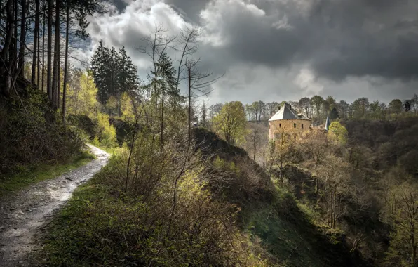 Картинка дорога, лес, замок