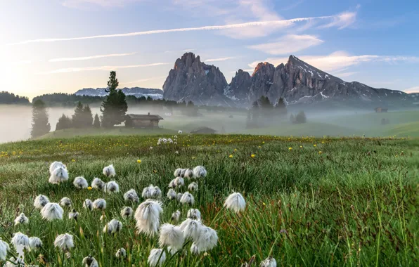 Картинка поле, горы, природа, туман, утро