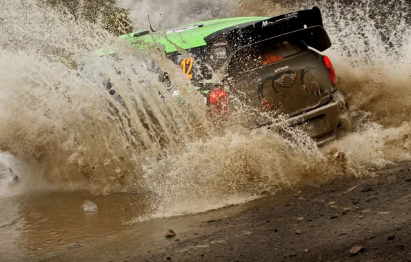 Англия, Mini, ралли, WRC, брод, Мини, Крис Аткинсон