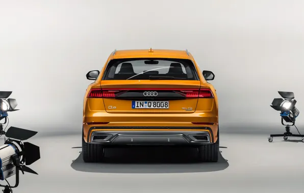 Вид сзади, Quattro, 2018, S-Line, 50 TDI, Audi Q8
