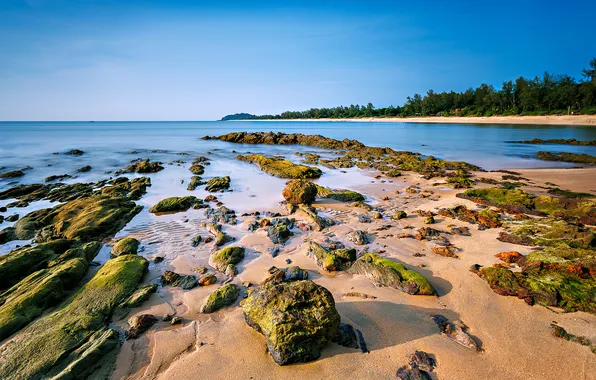 Картинка море, небо, деревья, камни, скалы