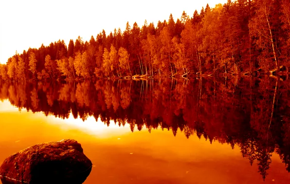 Осень, лес, отражения, деревья, природа, река, forest, river