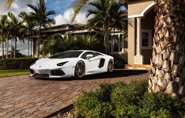 Картинка белый, пальмы, Lamborghini, перед, white, особняк, ламборджини, front