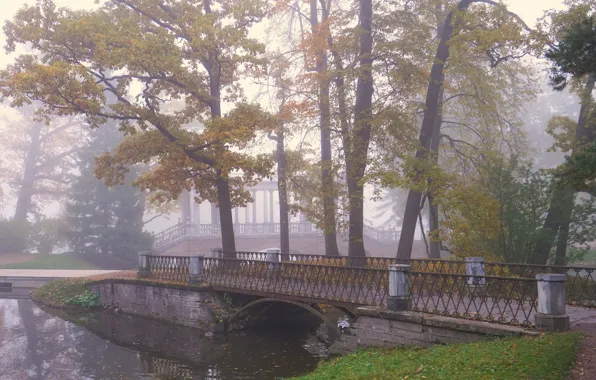 Деревья, мост, город, озеро, пруд, парк, ветви, берег