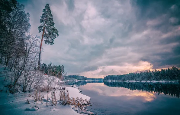 Картинка зима, снег, пейзаж, тучи, природа, река, мороз, леса