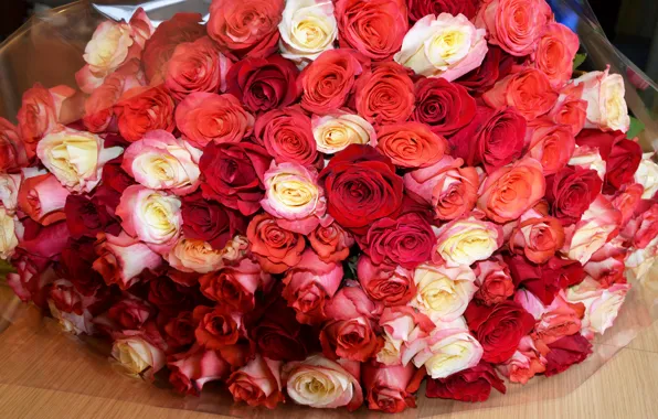 Розы, красота, букет, rose, flowers, Valentine's Day, bouquet, шикарный