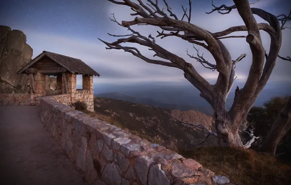 Night, tree, australia, Mount Buffalo