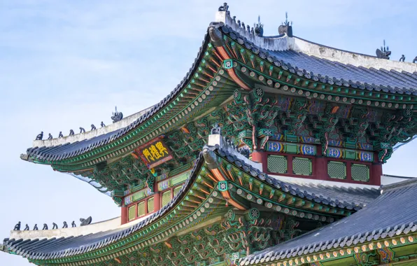 House, South Korea, home, Asia, Seoul, Bell Street, Jongno District, Jongno-gu