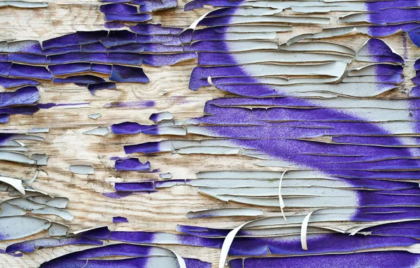 White, wood, pattern, violet, spray paint