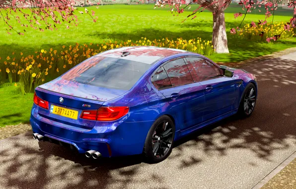 Сакура, BMW, БМВ, Horizon, Sakura, BMW M5, Forza, БМВ М5