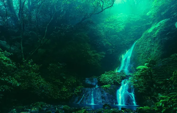 Картинка вода, деревья, природа, ручей, камни, водопад, Тайвань, ступеньки