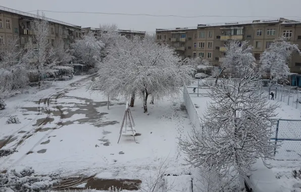 Zima, Uzbekistan, sneg, Navai, devyatka