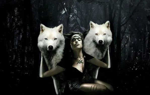 Картинка nature, predator, animal, wolf, wolves, wildlife, girle, Canis lupus