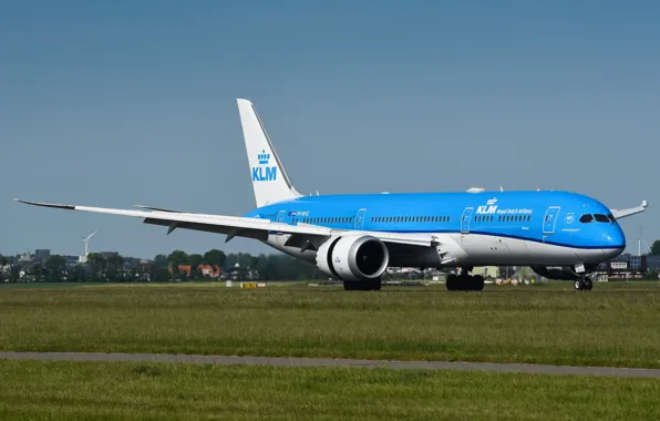 Самолет, Лайнер, 787, Boeing, Dreamliner, ВПП, Boeing 787, Шасси