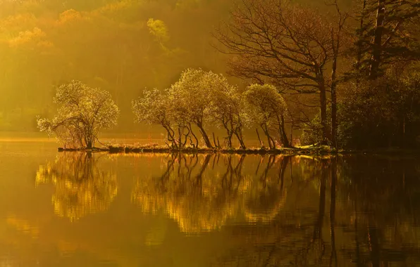 Картинка осень, лес, деревья, закат, озеро, отражение, остров