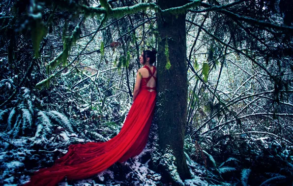 Картинка лес, девушка, снег, дерево, красное платье