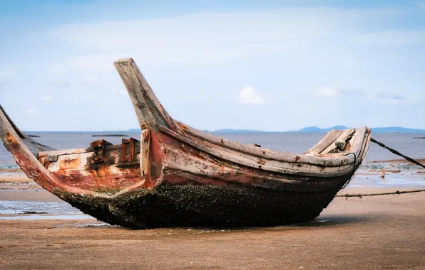 Landscape, Sea, Wooden, Ebb, Attachments