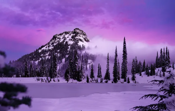 Картинка forest, Landscape, winter, mountain, snow