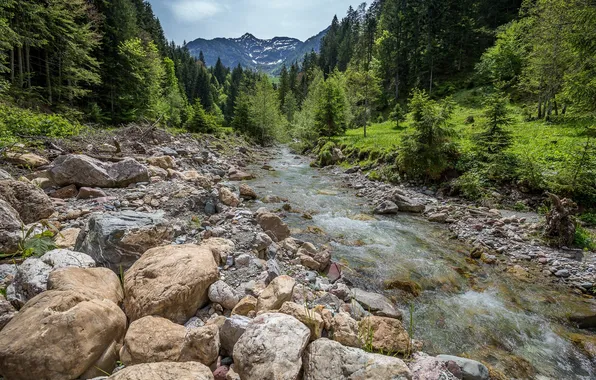 Лес, небо, облака, пейзаж, горы, природа, камни, скалы