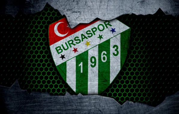 Wallpaper, sport, logo, football, Bursaspor