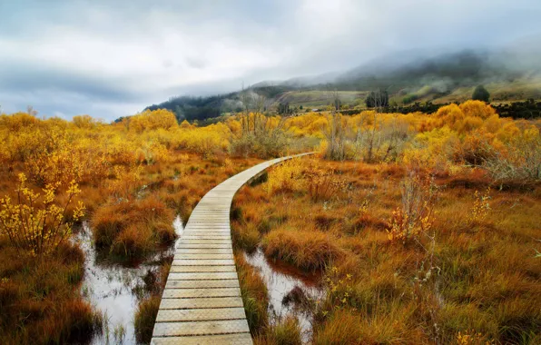 New Zealand, clouds, Queenstown, path