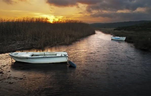 Картинка закат, река, лодки, камыш