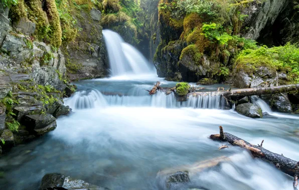 Камни, водопад, мох, Аляска, США, Alaska, коряги, Virgin Falls