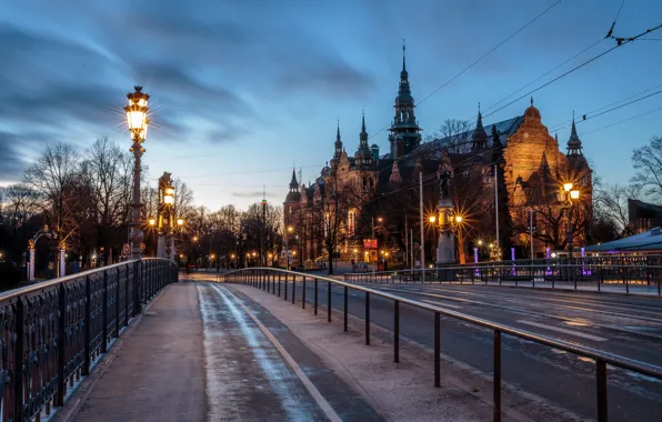 Дорога, небо, деревья, мост, огни, дома, вечер, фонари