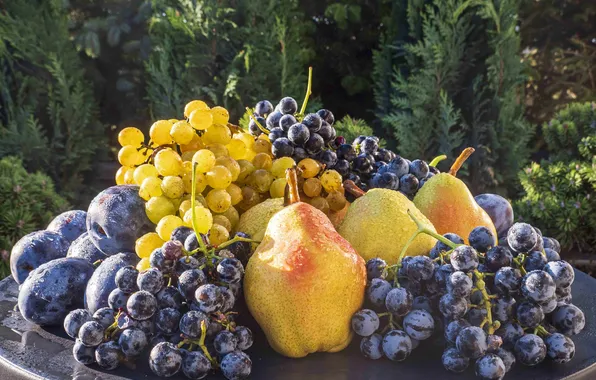 Grape, pear, plum