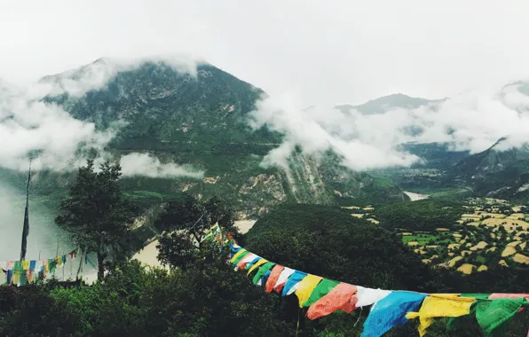 Green, trees, nature, cloud, colours, mountain, fog, Asia