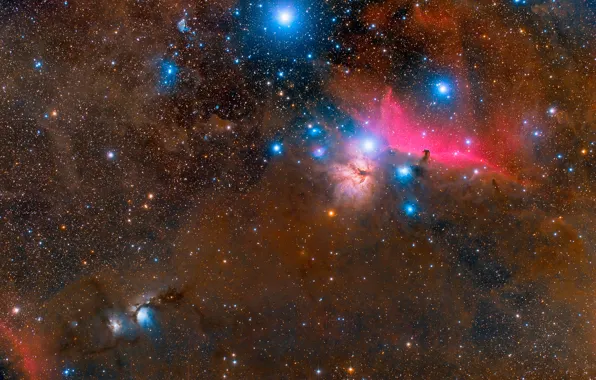Звёзды, россыпь, Orion Molecular Cloud