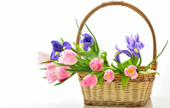 Корзина, тюльпаны, flowers, tulips, bouquet, basket