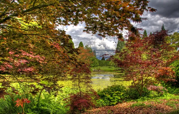 Осень, листья, деревья, пруд, сад, Канада, кусты, Vancouver